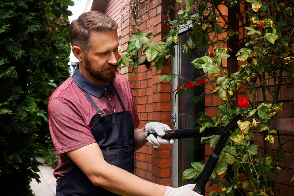 Gartenpflege im Fruhjahr 